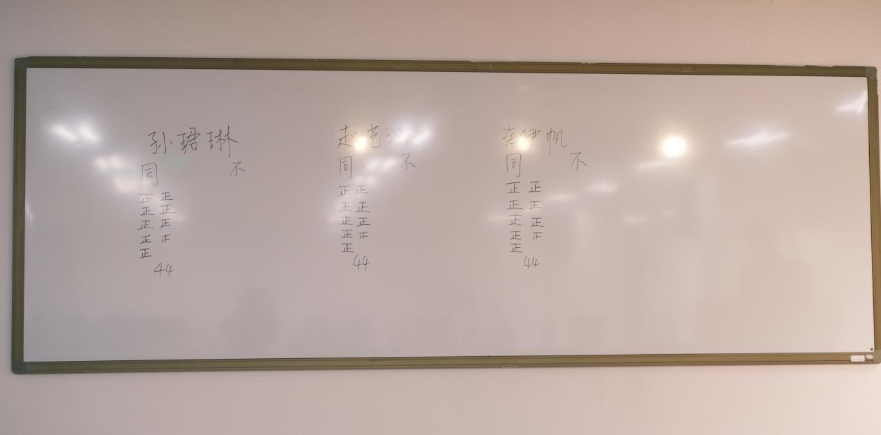 投票结果